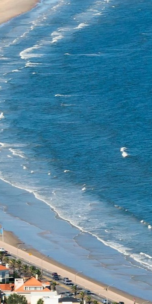 Luxury chauffeur Montevideo