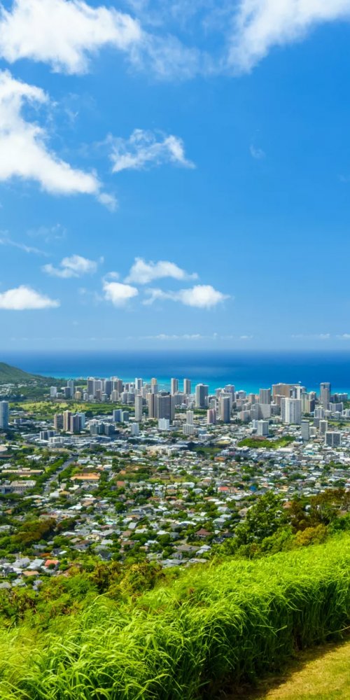 Luxury vehicle interior in Honolulu