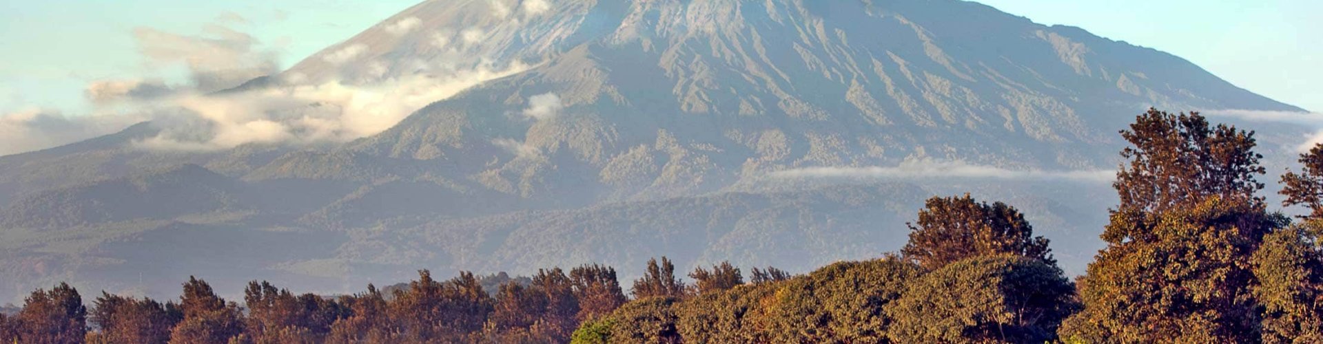 Arusha, TZ
