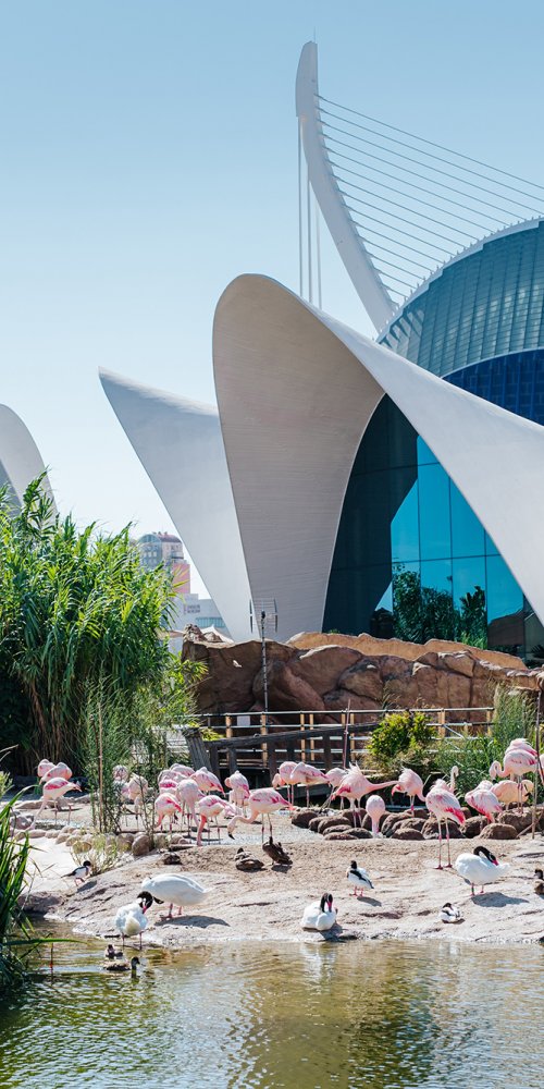 Luxury car interior in Valencia