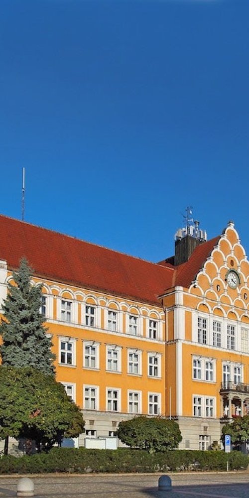 Luxury vehicle interior and chauffeur in Český Těšín