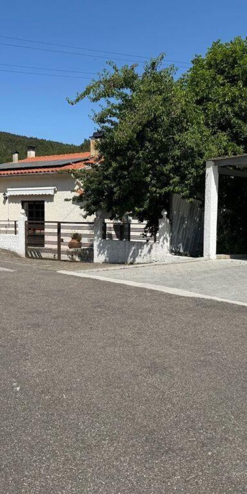 Luxury car interior in Madeirã