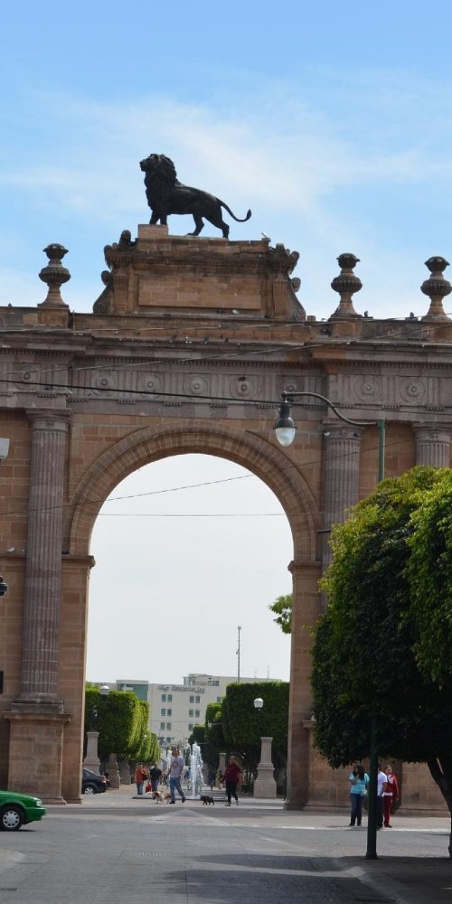 Luxury chauffeur car in León