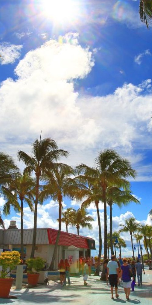 Luxury car interior in Fort Myers