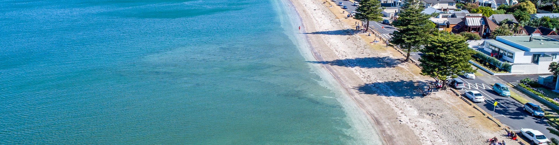 Luxury limousine cruising Auckland skyline