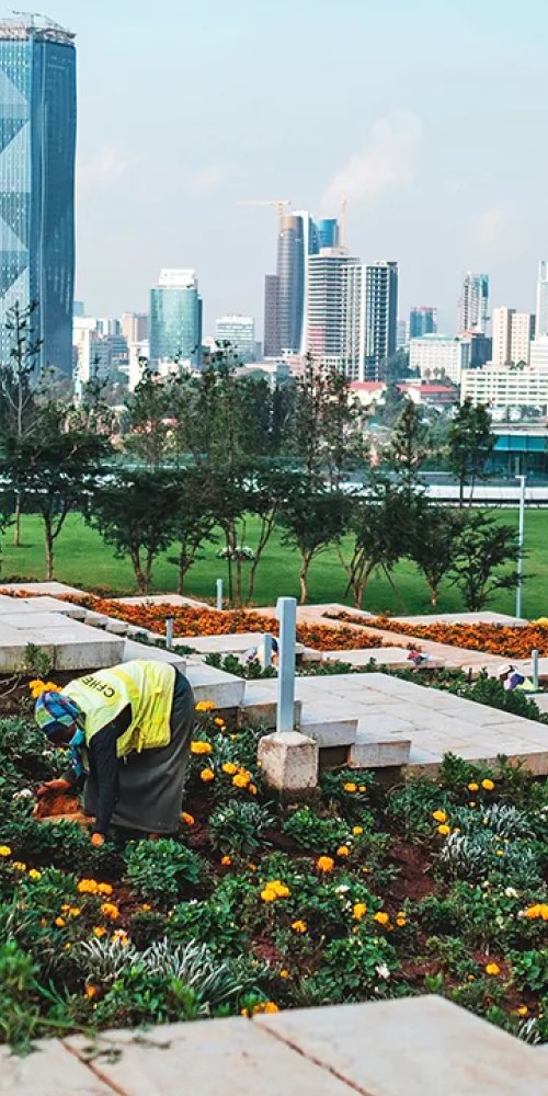 Luxury car interior in Addis Ababa