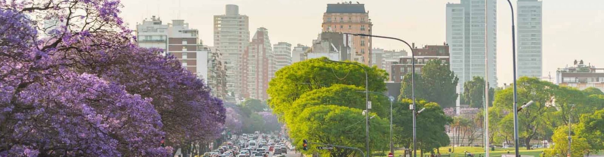 Buenos Aires luxury vehicle experience