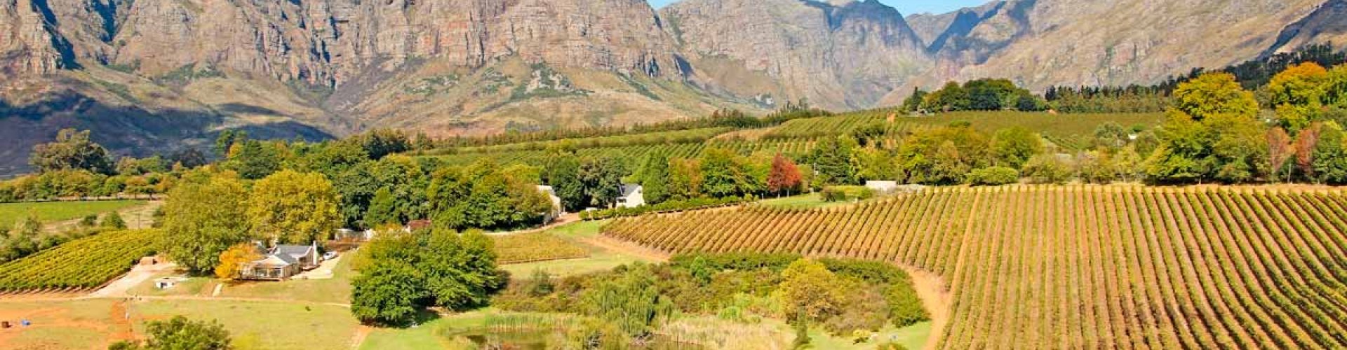 Luxury car on Stellenbosch road