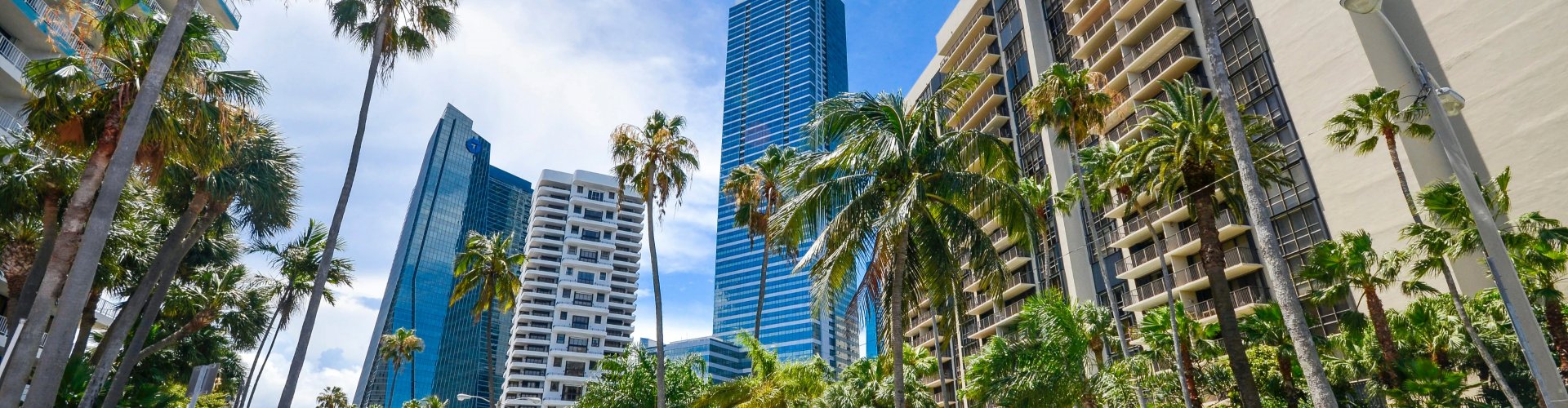 Miami luxury car parked by the waterfront