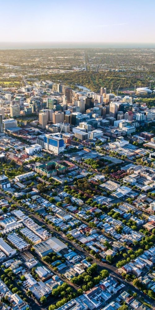 Luxury vehicle chauffeur in Adelaide