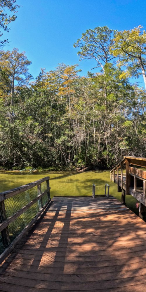 Luxury vehicle interior in Niceville