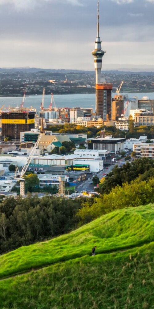 Chauffeur and luxury car in Auckland