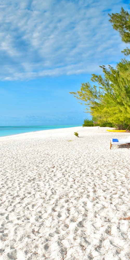 Luxury vehicle interior in Zanzibar